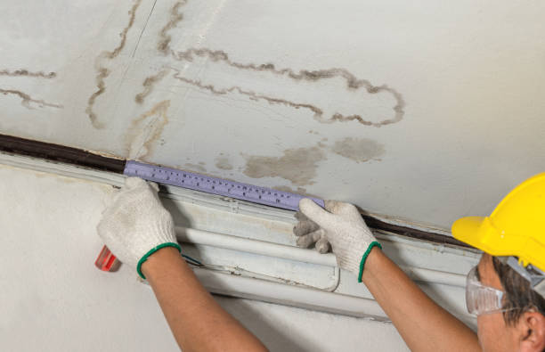 Affordable Water Damage Repair solutions in Lamona, WA